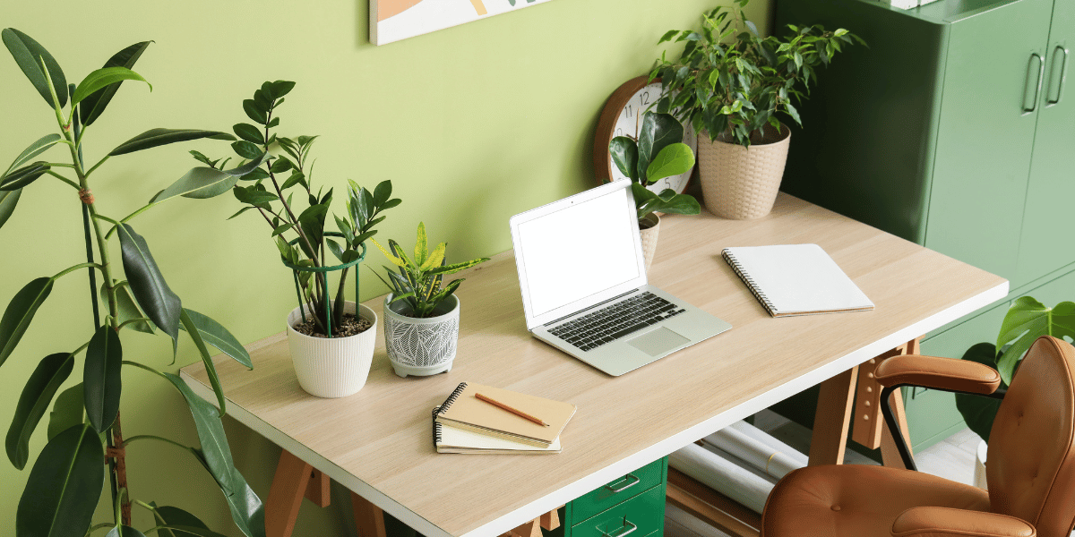 arbeitsplatz mit pflanzen und laptop